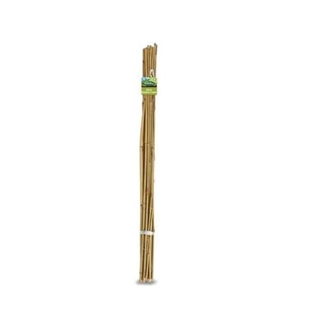Brunnings 60cm Natural Bamboo Garden Stakes .